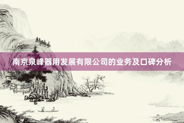 南京泉峰器用发展有限公司的业务及口碑分析